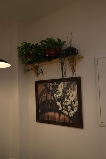 Prateleira de madeira com vasos de plantas e quadro de flores na parede do Constant Plaza